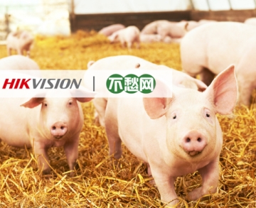 客戶案例丨AI助力智慧豬場，讓養(yǎng)殖者不再愁